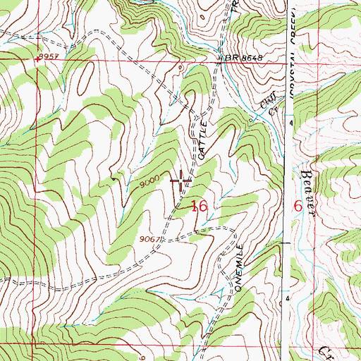 Topographic Map of Onemile Cattle Trail, CO
