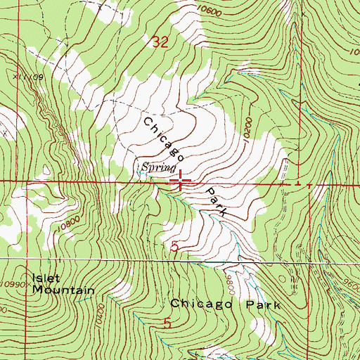 Topographic Map of Chicago Park, CO