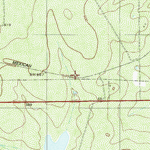 Topographic Map of Pueblo Nuevo, TX