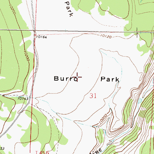 Topographic Map of Burro Park, CO
