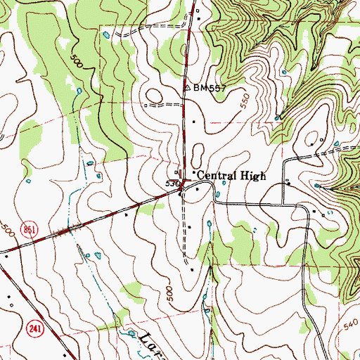 Topographic Map of Central High, TX