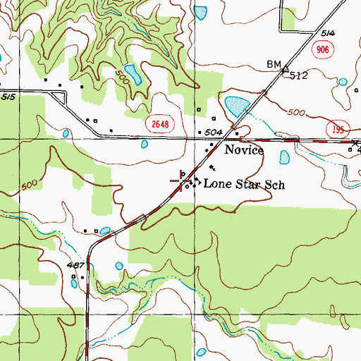 Topographic Map of Lone Star, TX