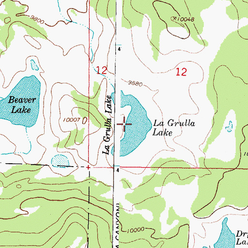 Topographic Map of La Grulla Lake, CO