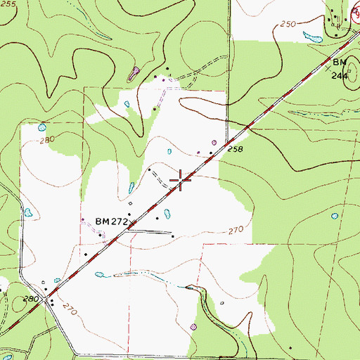 Topographic Map of Saron, TX
