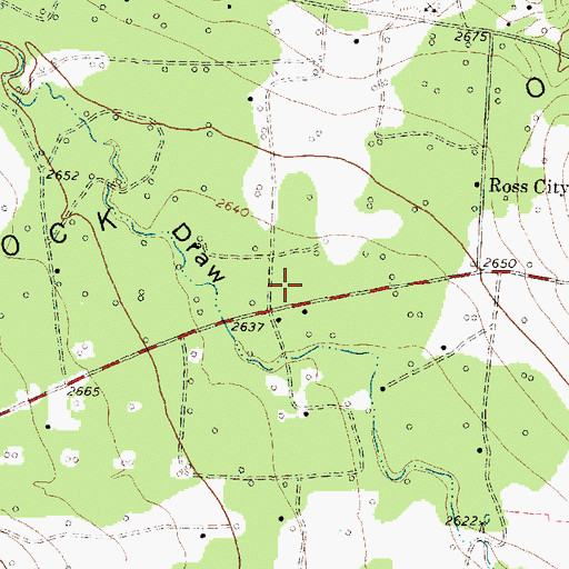 Topographic Map of Ross City, TX