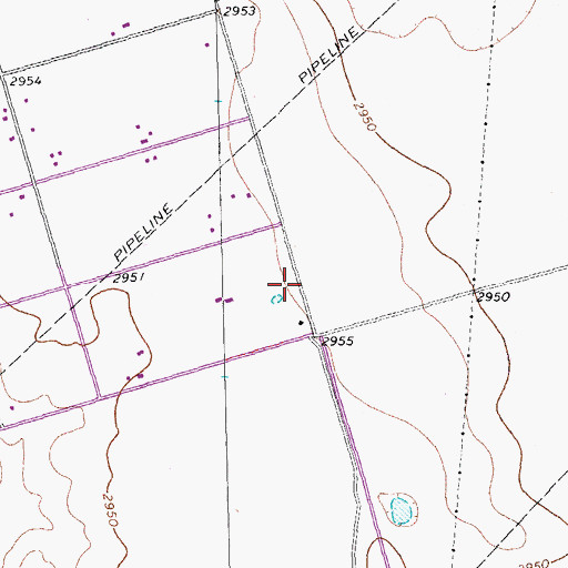 Topographic Map of Pleasant Farms, TX
