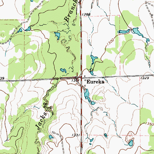 Topographic Map of Eureka, TX