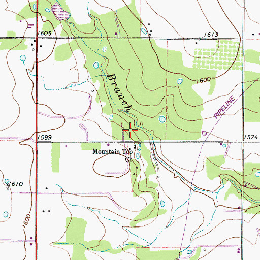 Topographic Map of Mountain Top, TX