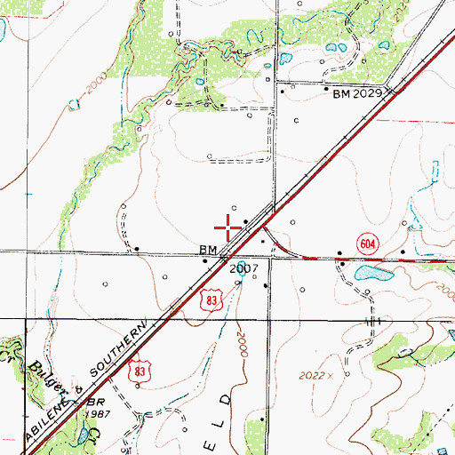 Topographic Map of Guion, TX