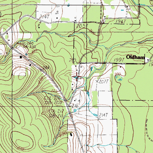 Topographic Map of Oldham, TX