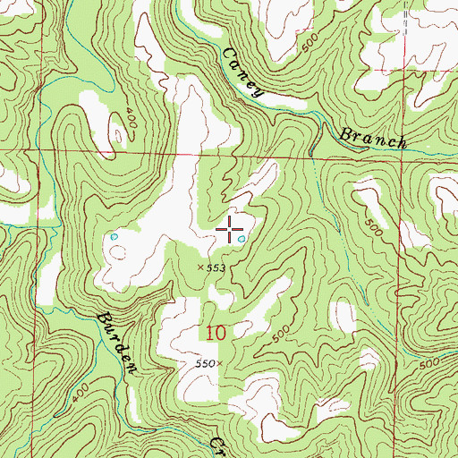 Topographic Map of Burden Falls Wilderness, IL