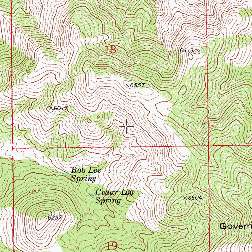 Topographic Map of Dos Cabezas Mountains Wilderness, AZ