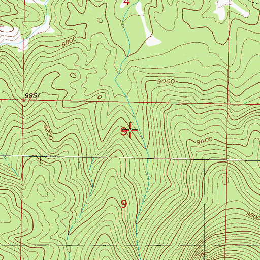 Topographic Map of Sarvis Creek Wilderness, CO