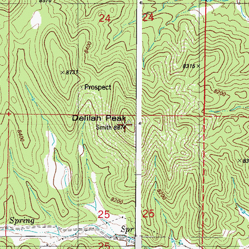 Topographic Map of Delilah Peak, CO