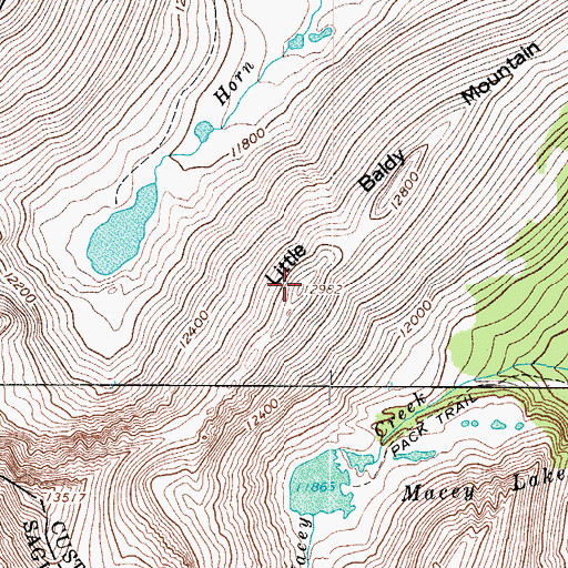 Topographic Map of Little Baldy Mountain, CO