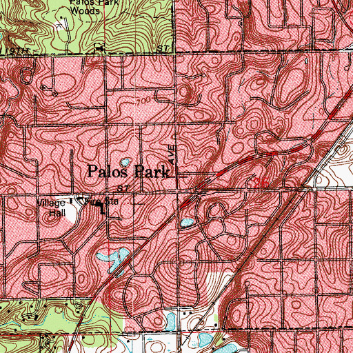 Topographic Map of Church of the Transfiguration, IL