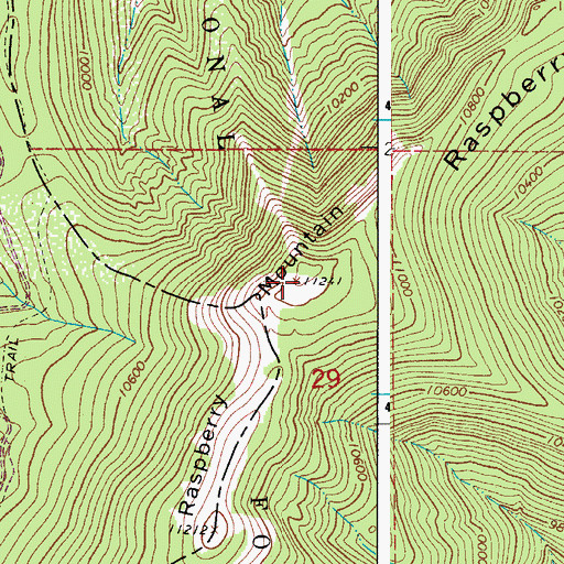 Topographic Map of Raspberry Mountain, CO