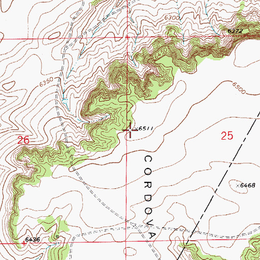 Topographic Map of Cordova Mesa, CO