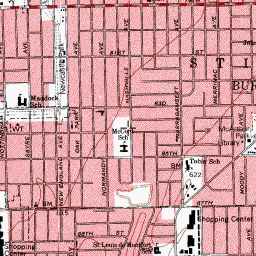 Topographic Map of Fitzgerald Park, IL