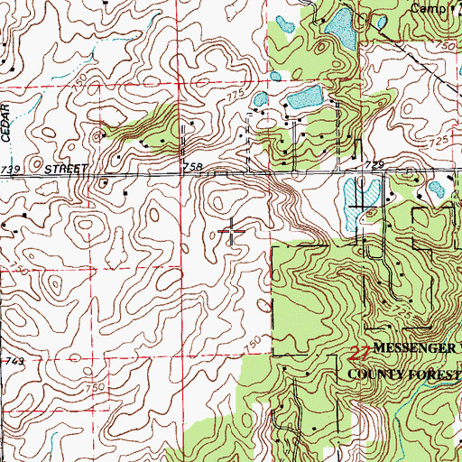 Topographic Map of Messenger Woods Nature Preserve, IL