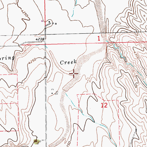 Topographic Map of East Branch Spring Creek, CO