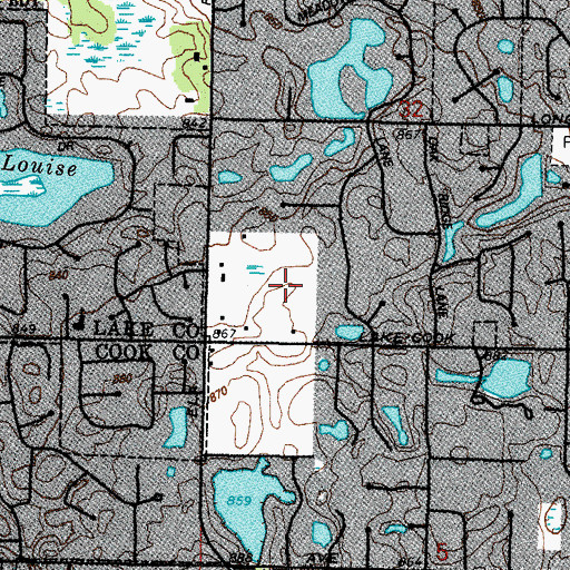 Topographic Map of Deer Chase, IL