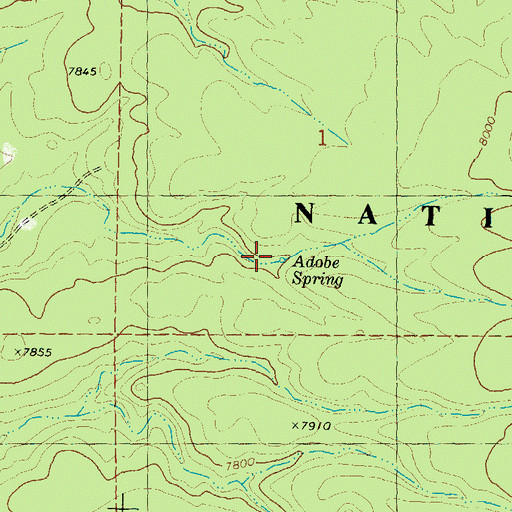 Topographic Map of Adobe Spring, NM