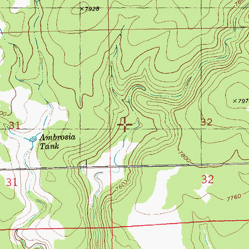Topographic Map of Bull Camp Pit Tank, NM