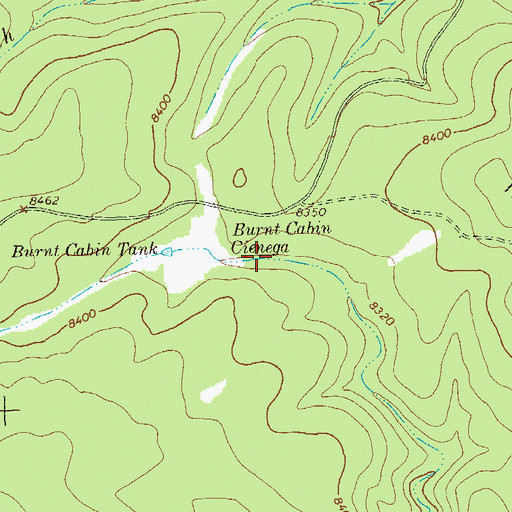 Topographic Map of Burnt Cabin Cienega, NM