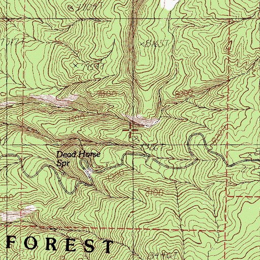 Topographic Map of Cedar Spring, NM