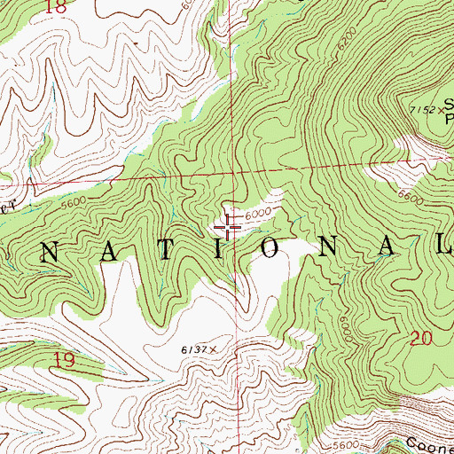 Topographic Map of Copper Tank, NM