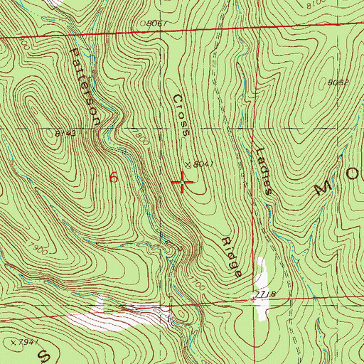 Topographic Map of Cross Ridge, NM
