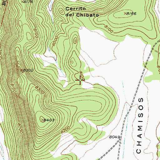 Topographic Map of Cuchillas Trick Tank, NM