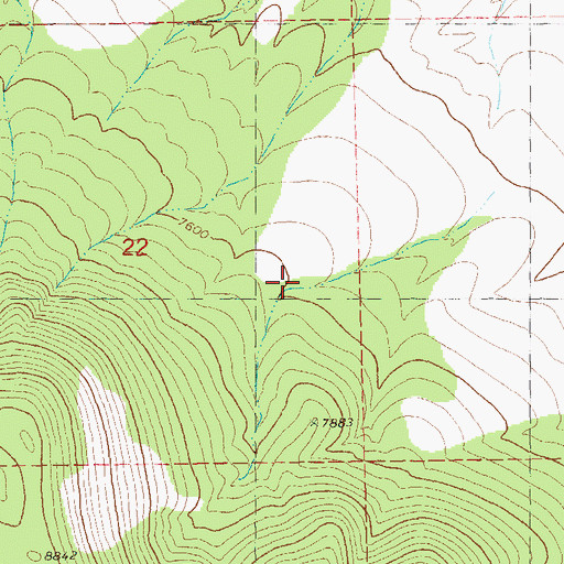 Topographic Map of Deer Tank, NM