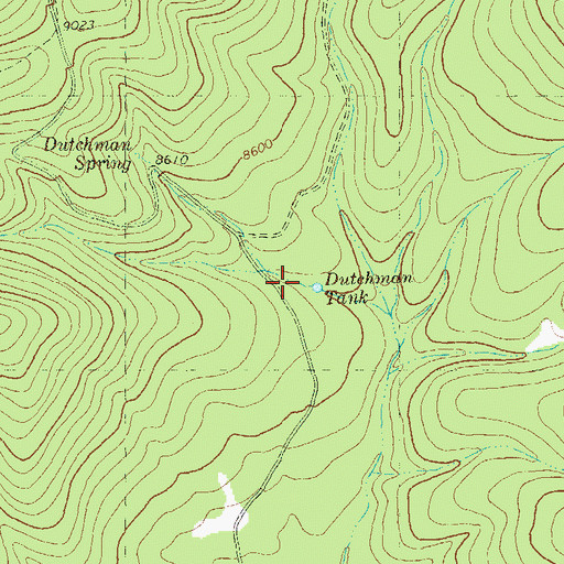 Topographic Map of Dutchman Tank, NM