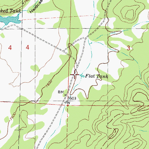 Topographic Map of Flat Tank, NM