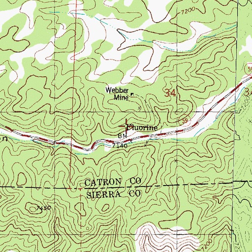 Topographic Map of Flourine, NM
