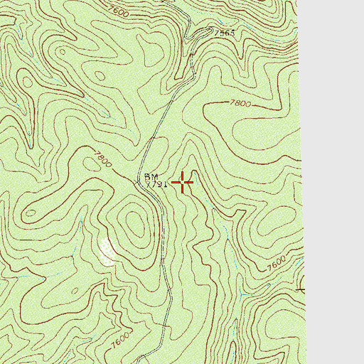 Topographic Map of Fork Stock Tank, NM