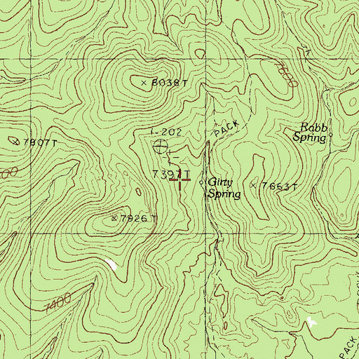 Topographic Map of Girty Spring, NM