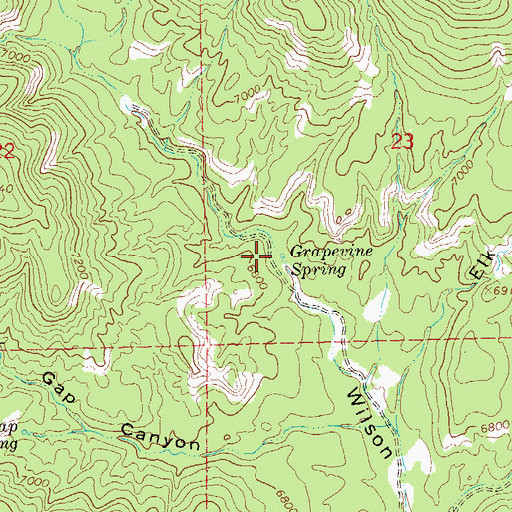 Topographic Map of Grapevine Spring, NM