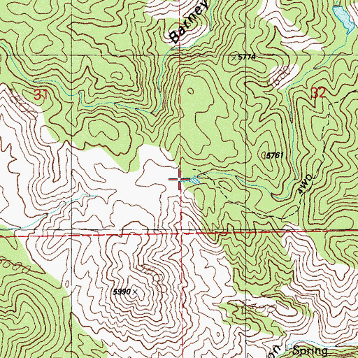 Topographic Map of Grassy Flat Tank, NM