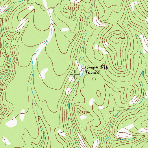 Topographic Map of Green Fly Tank Number 2, NM