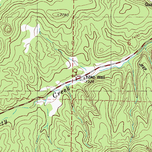 Topographic Map of Koko Well, NM