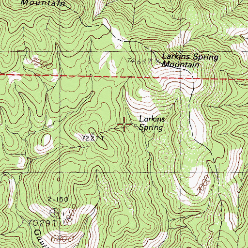 Topographic Map of Larkins Spring, NM