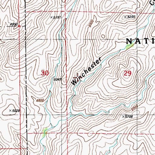 Topographic Map of Lower Winchester Spring, NM