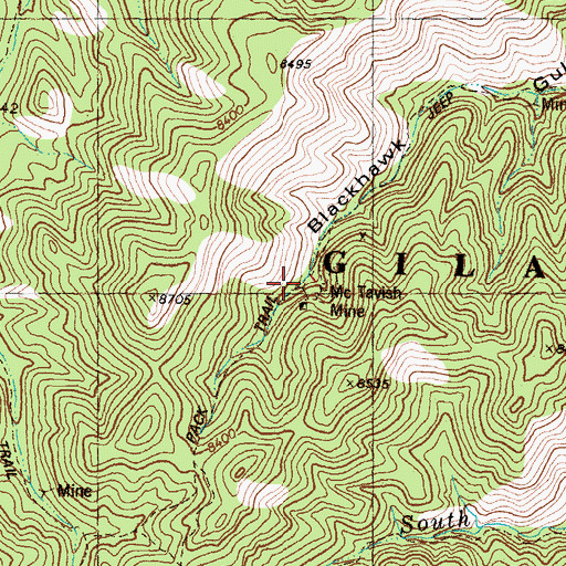 Topographic Map of McTavish Mine, NM