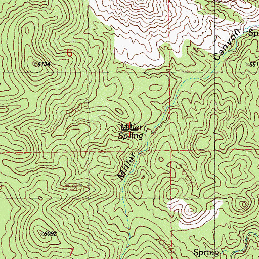 Topographic Map of Miller Spring, NM