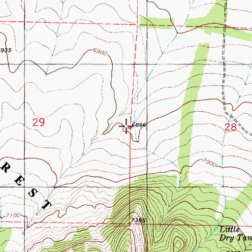 Topographic Map of Mountainair Ranger District, NM