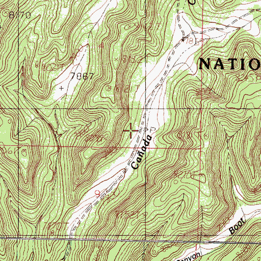 Topographic Map of Ojitos Tank, NM