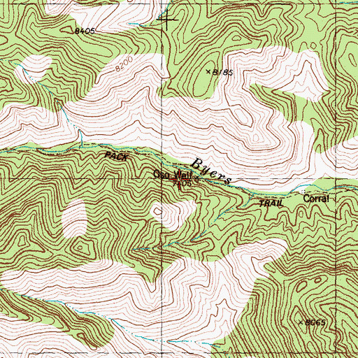 Topographic Map of Oso Well, NM